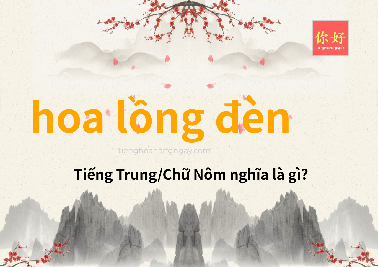 hoa lồng đèn tiếng Trung là gì?